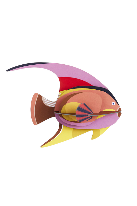 Wall Art Sea Creatures - Blackcap Fish