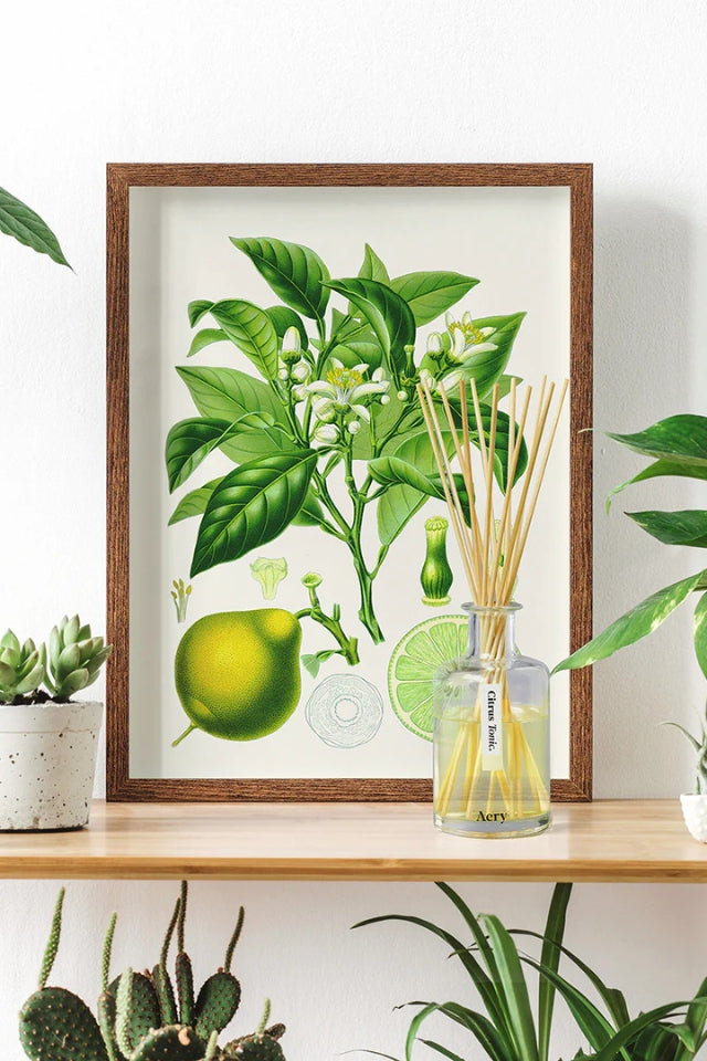 Botanical Reed Diffuser - 200ml