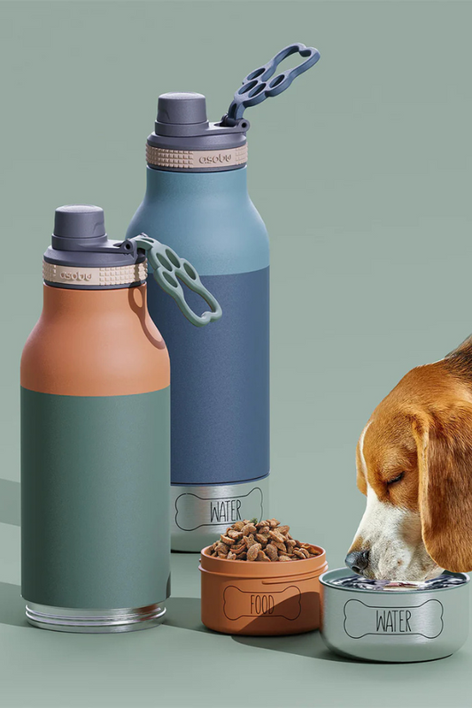 Buddy Dog Food And Water Bottle 1L - Pastel Green