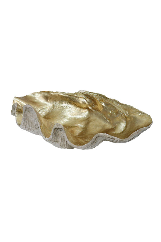 Resin Clam Shell - Champagne/White