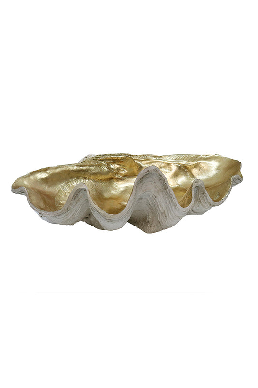 Resin Clam Shell - Champagne/White