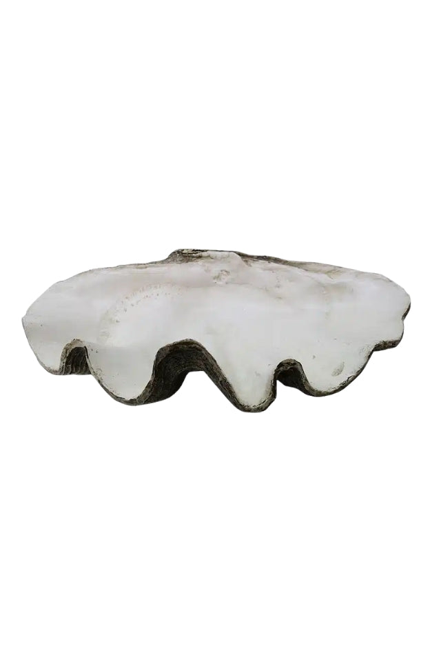 Resin Clam Shell