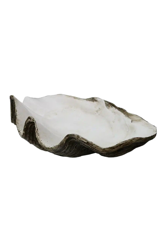 Resin Clam Shell