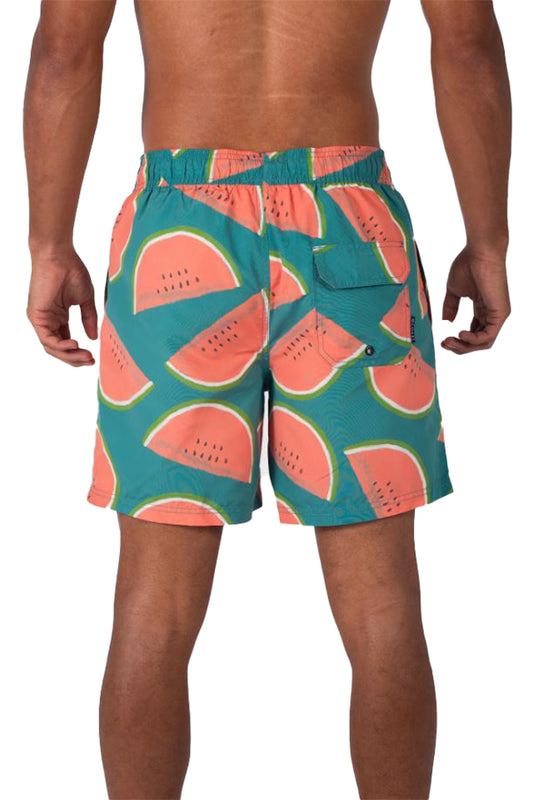 Swim Shorts