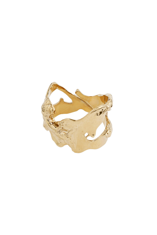 Compass Ring - Gold Plated