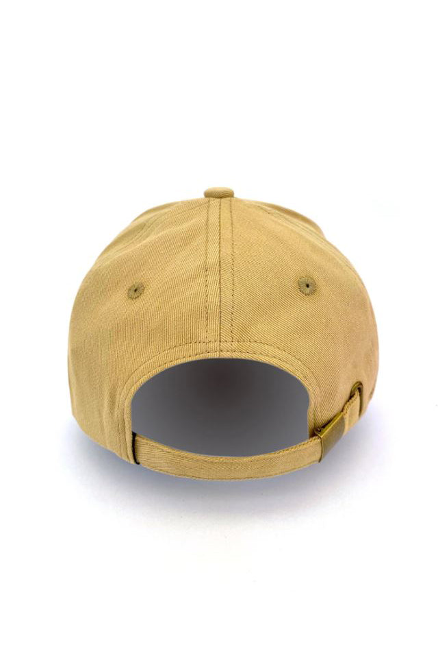 Dark Hampton Cap