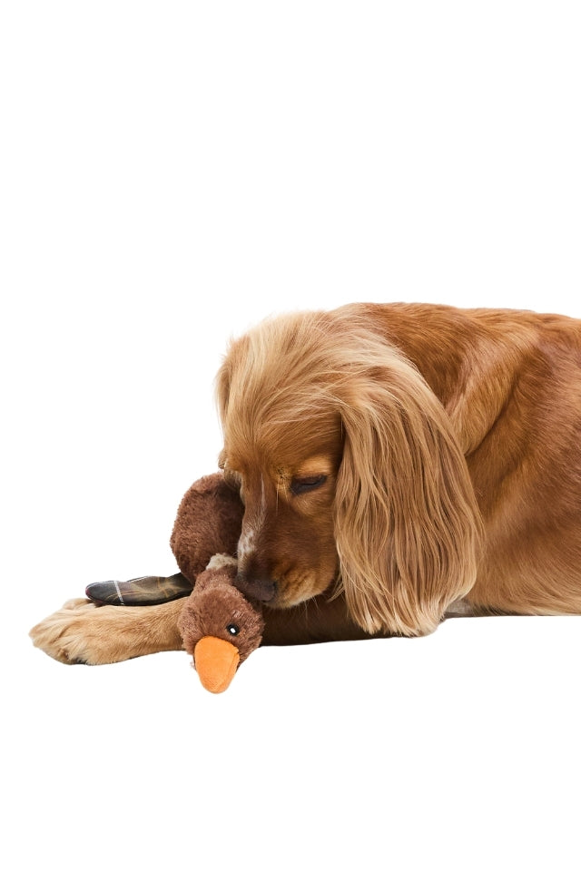 Dog Flying Duck Toy