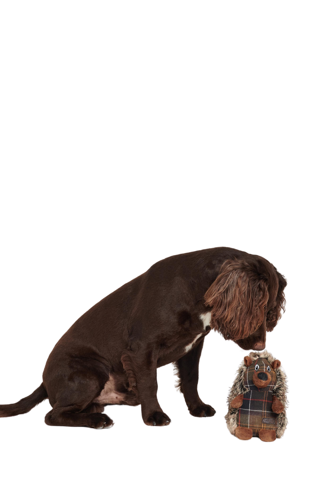 Hedgehog Dog Toy - Brown/Tartan