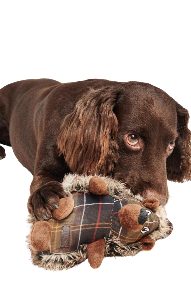 Hedgehog Dog Toy - Brown/Tartan
