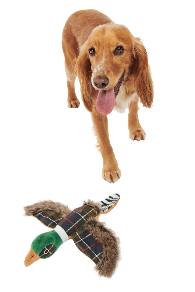 Dog Pheasant Toy - Classic Tartan