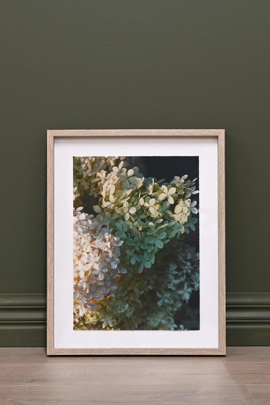 Framed Wall Art - Hydrangeas