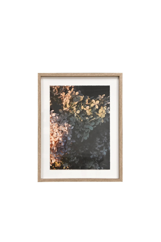 Framed Wall Art - Hydrangeas