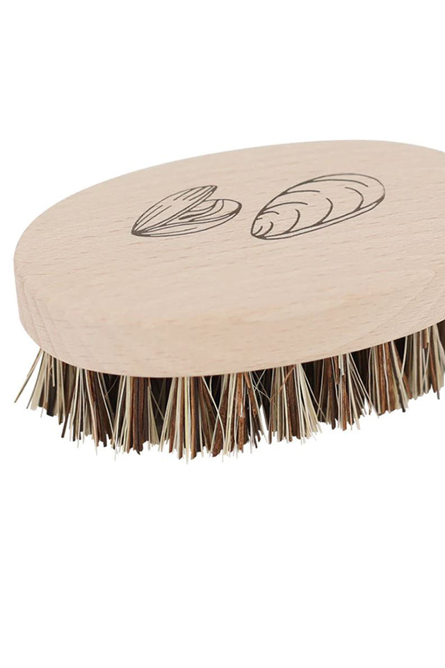 Mussel/oyster Cleaning Brush