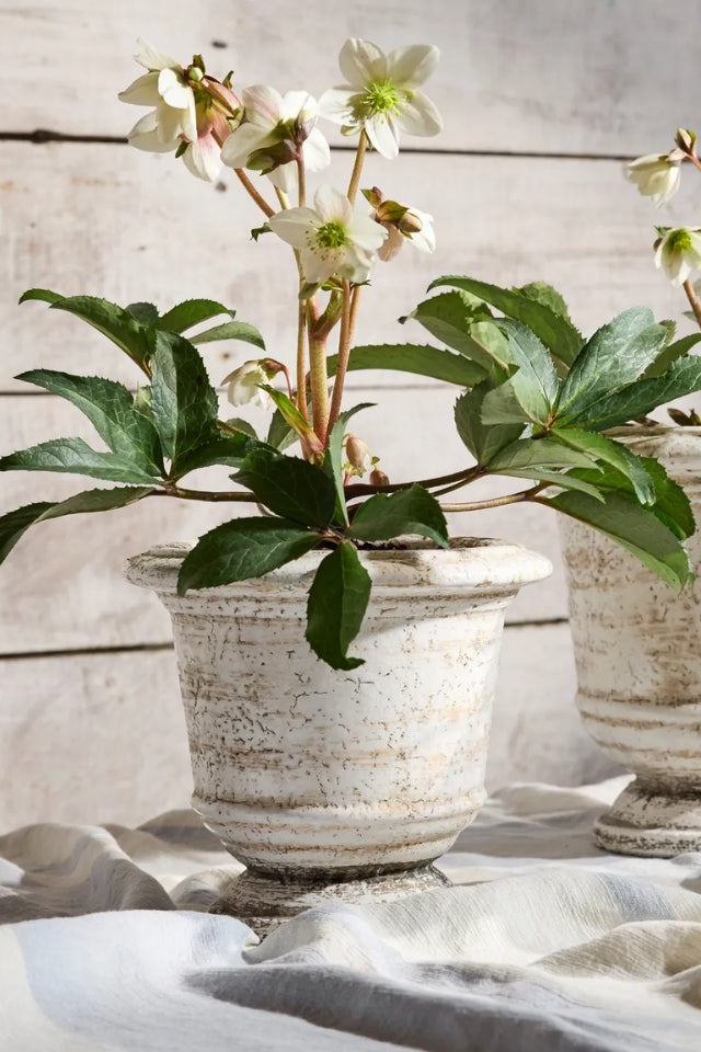 Urn Planter Rustic White
