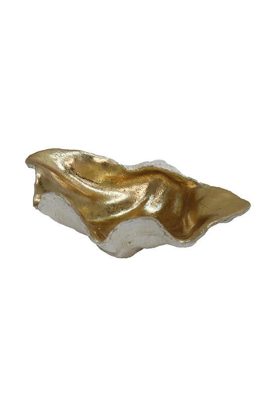 Resin Clam Shell - Champagne/White