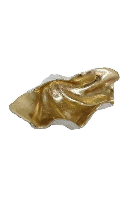 Resin Clam Shell - Champagne/White