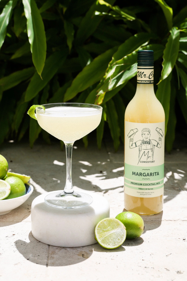 Margarita Mixer