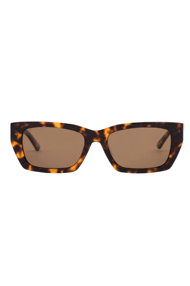 Outer Limits: Honey Tort/Brown Polarised