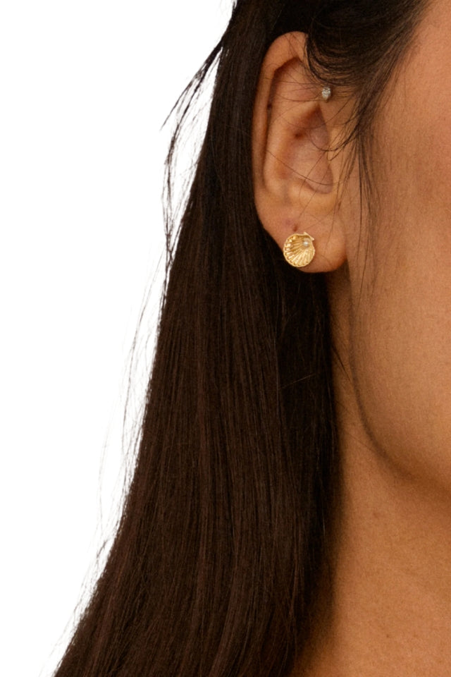 Opal Recycled Seashell Earrings - Gold Plated