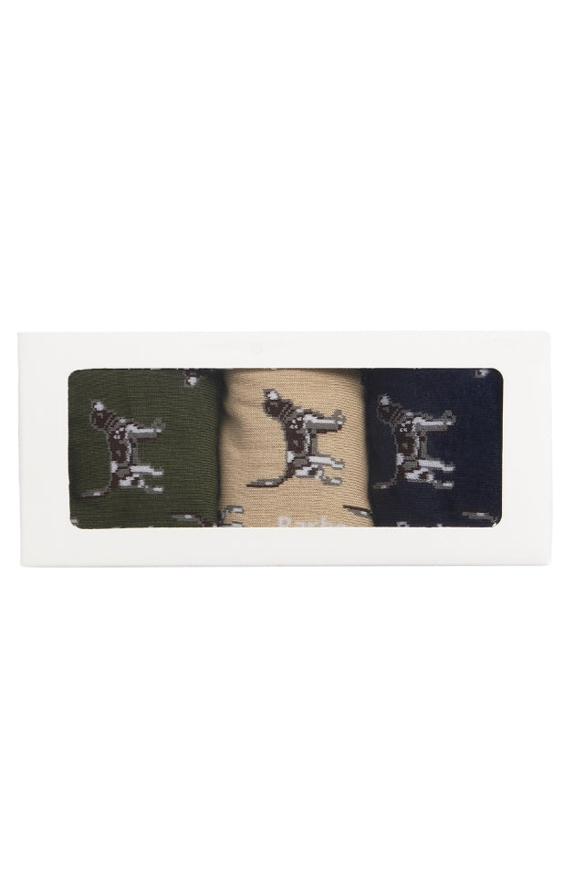 Pointer Dog Socks Gift Box - Forest Mist