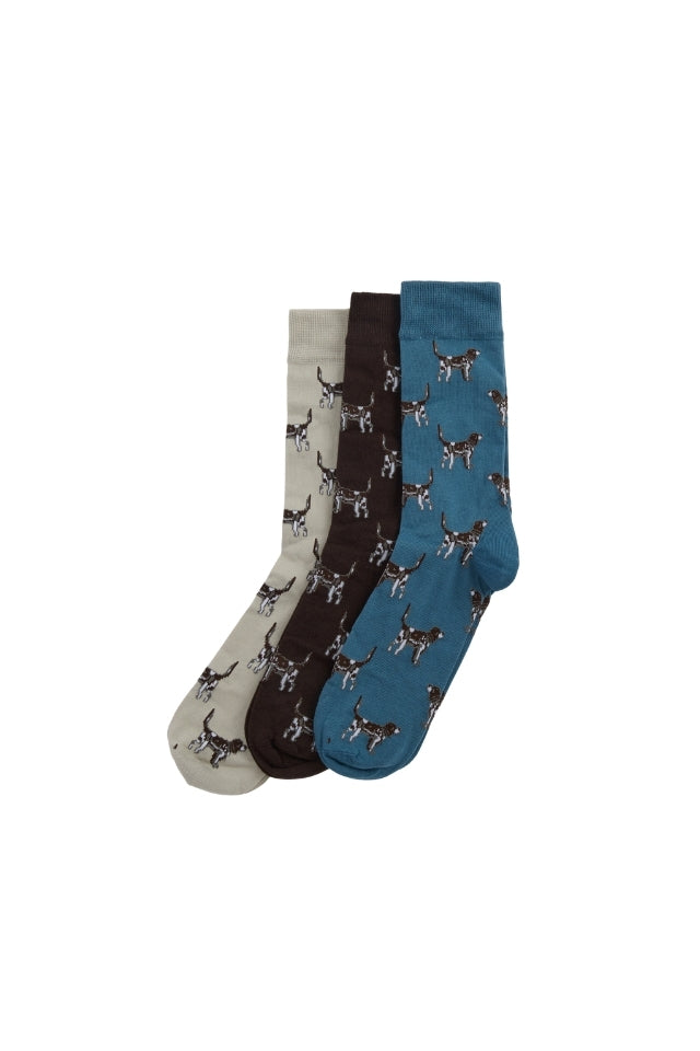 Pointer Dog Socks Gift Box - Bluestone