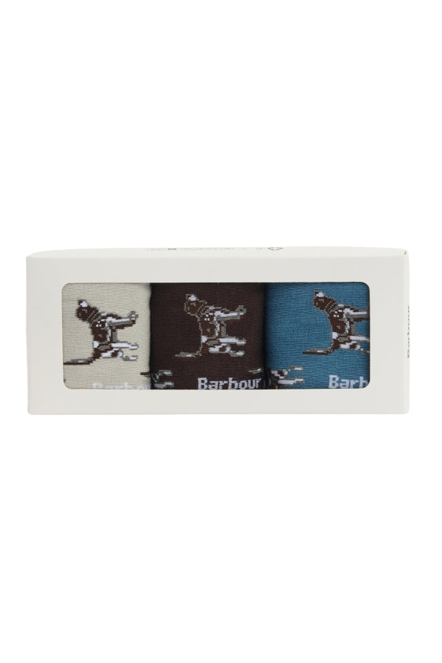 Pointer Dog Socks Gift Box - Bluestone
