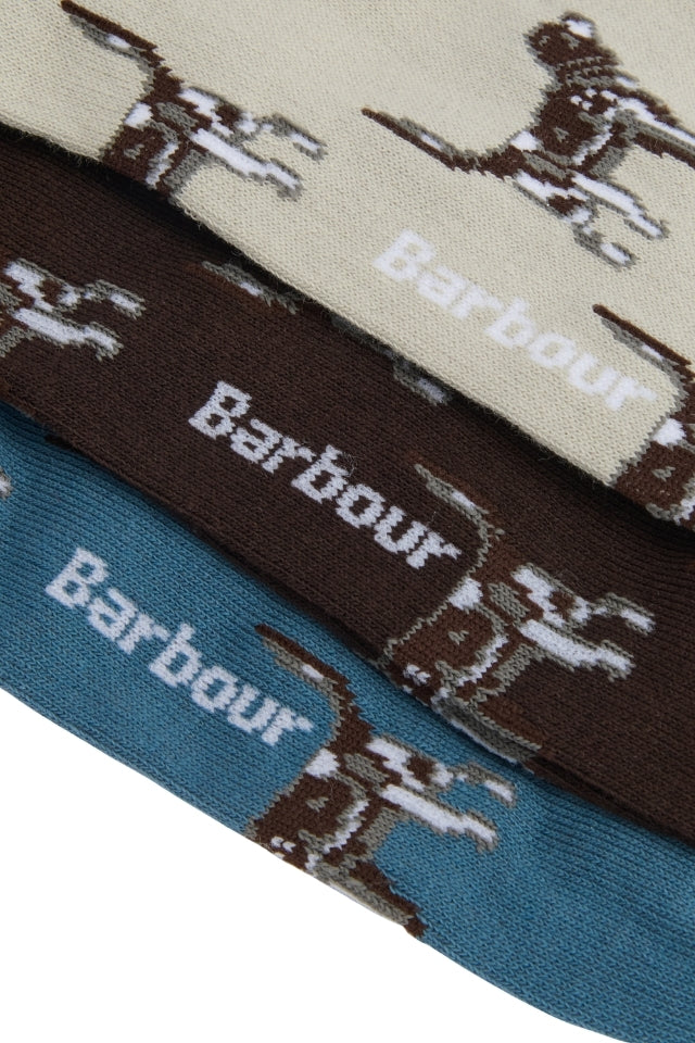 Pointer Dog Socks Gift Box - Bluestone