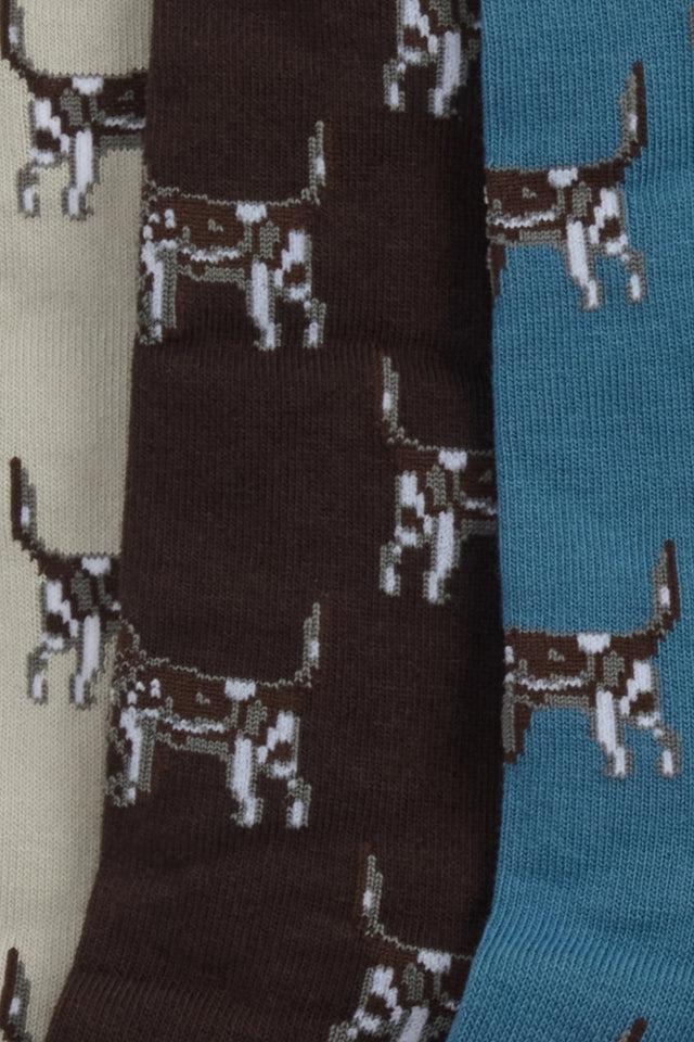 Pointer Dog Socks Gift Box - Bluestone
