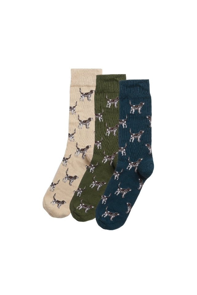 Pointer Dog Socks Gift Box - Forest Mist
