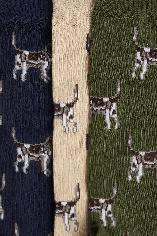 Pointer Dog Socks Gift Box - Forest Mist
