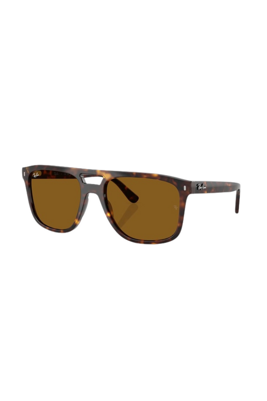 Rayban RB2213 - Brown