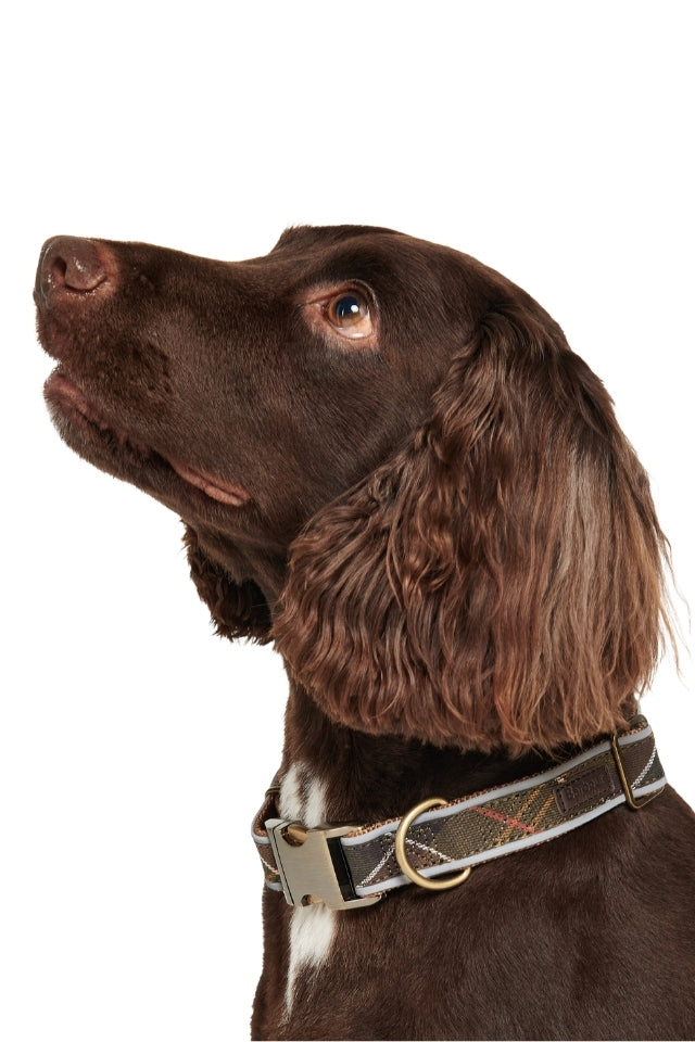 Reflective Tartan Dog Collar - Classic Tartan