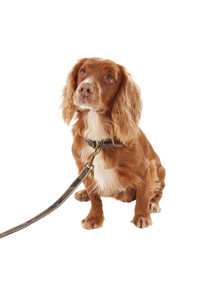 Reflective Tartan Dog Lead - Classic Tartan