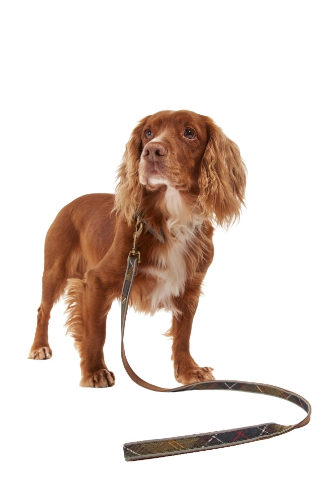 Reflective Tartan Dog Lead - Classic Tartan
