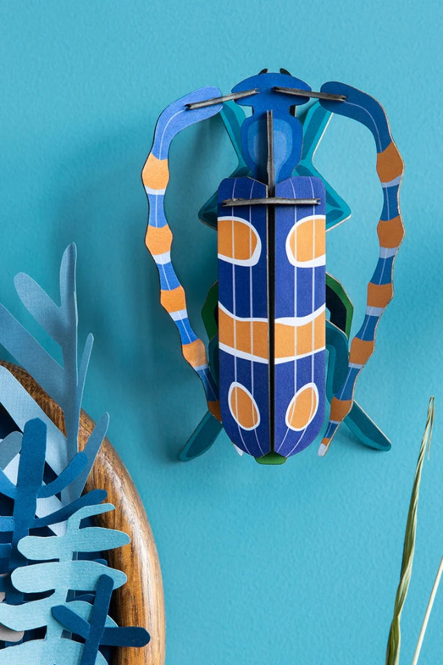 Wall Art Beetles - Rosalia Beetle