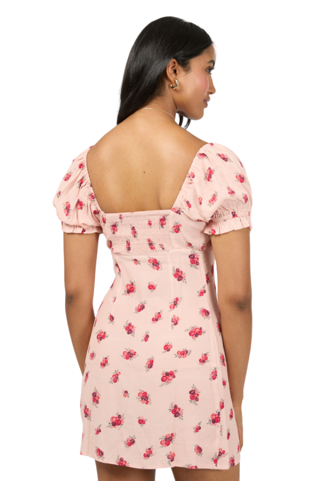 Scarlett Mini Dress