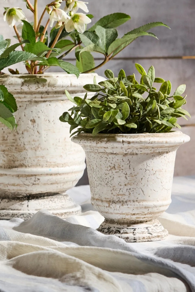 Urn Planter Rustic White