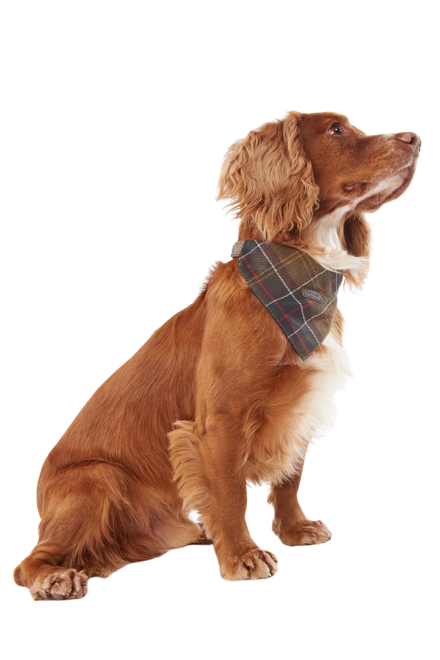 Tartan Dog Bandana - Classic Tartan