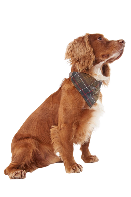 Tartan Dog Bandana - Classic Tartan