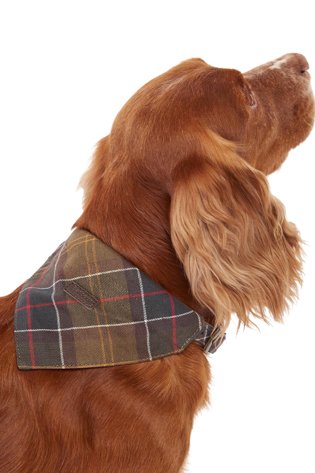 Tartan Dog Bandana - Classic Tartan