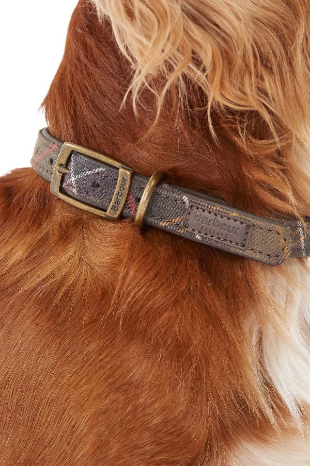 Tartan Dog Collar - Classic Tartan