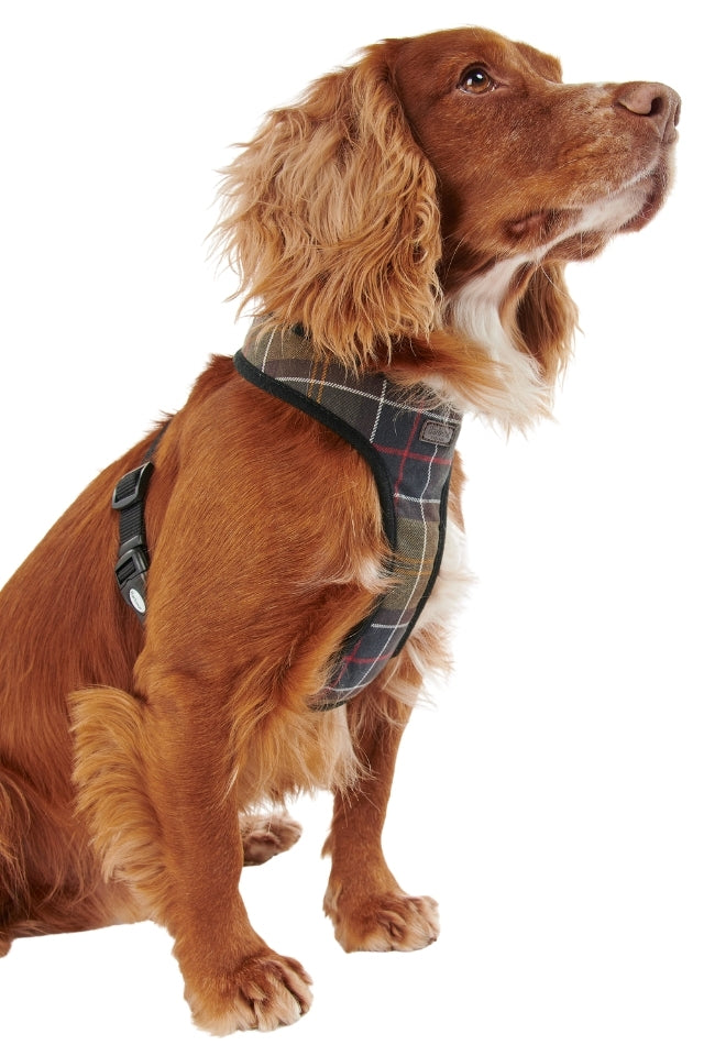 Tartan Dog Harness - Classic Tartan