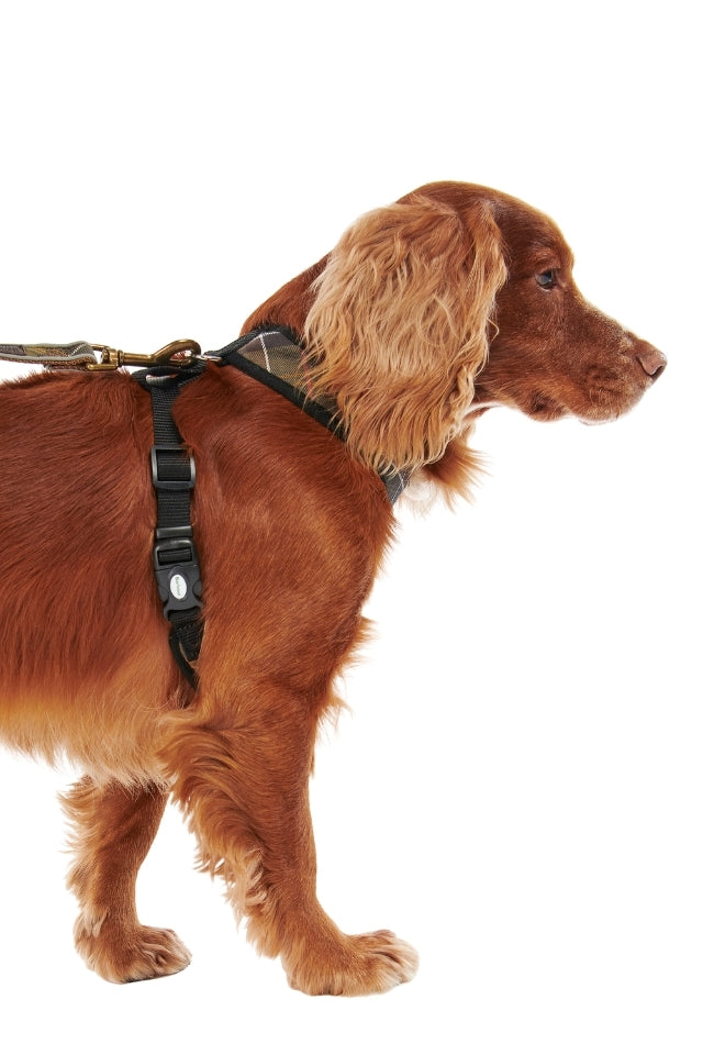 Tartan Dog Harness - Classic Tartan
