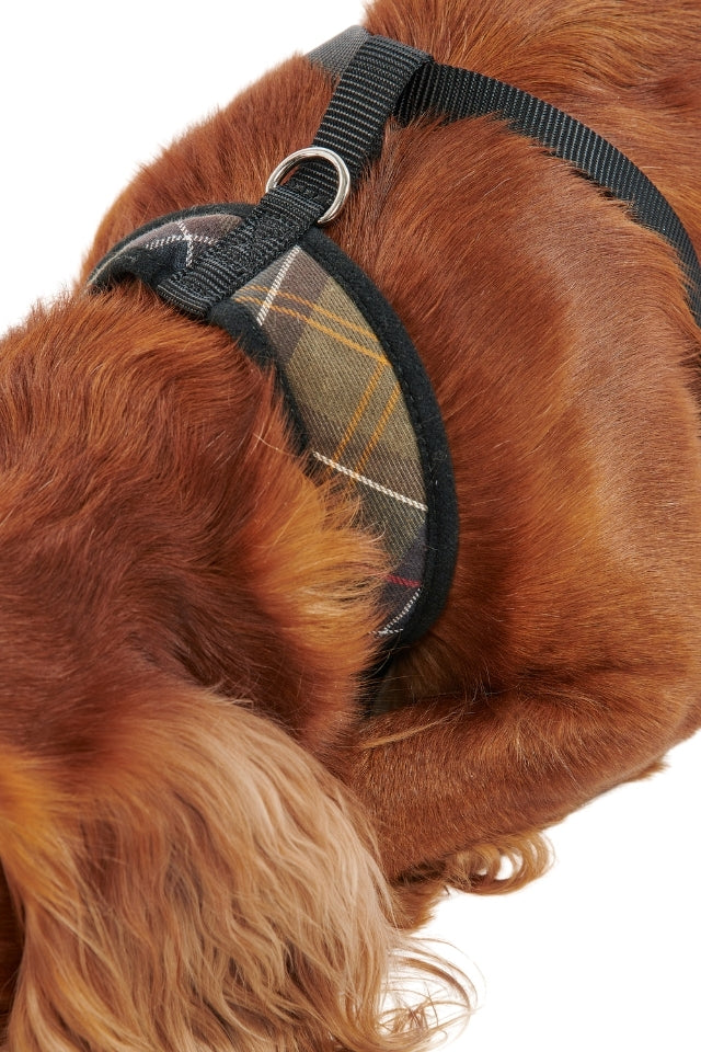 Tartan Dog Harness - Classic Tartan