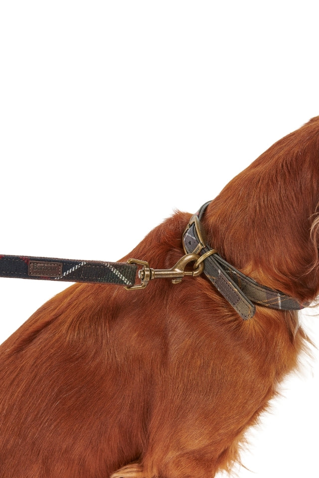 Tartan Dog Lead - Classic Tartan