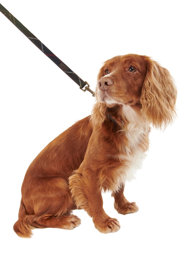 Tartan Dog Lead - Classic Tartan