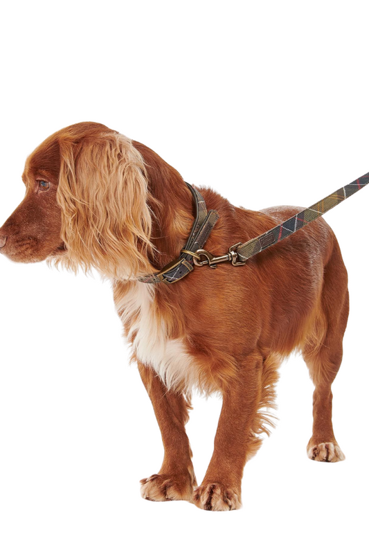 Tartan/Webbing Dog Lead - Classic Tartan