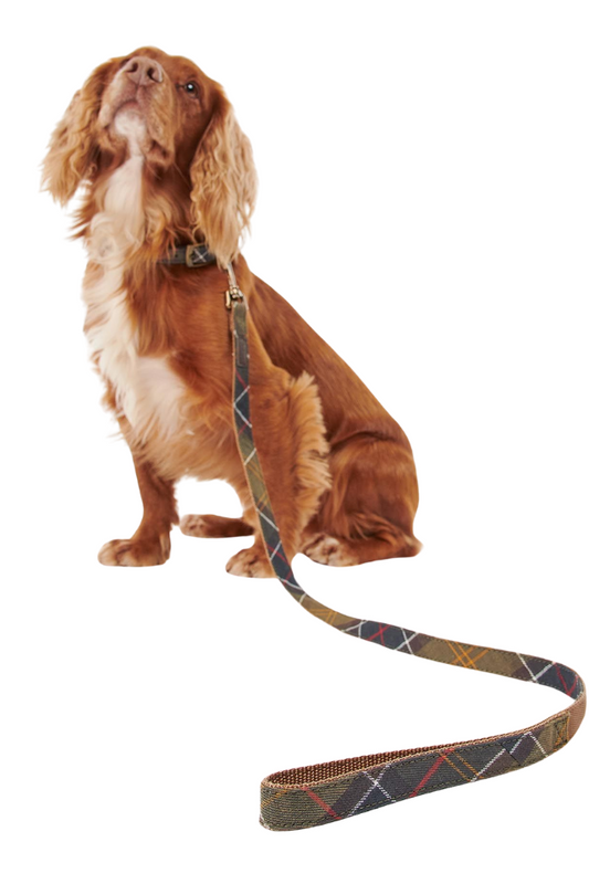 Tartan/Webbing Dog Lead - Classic Tartan