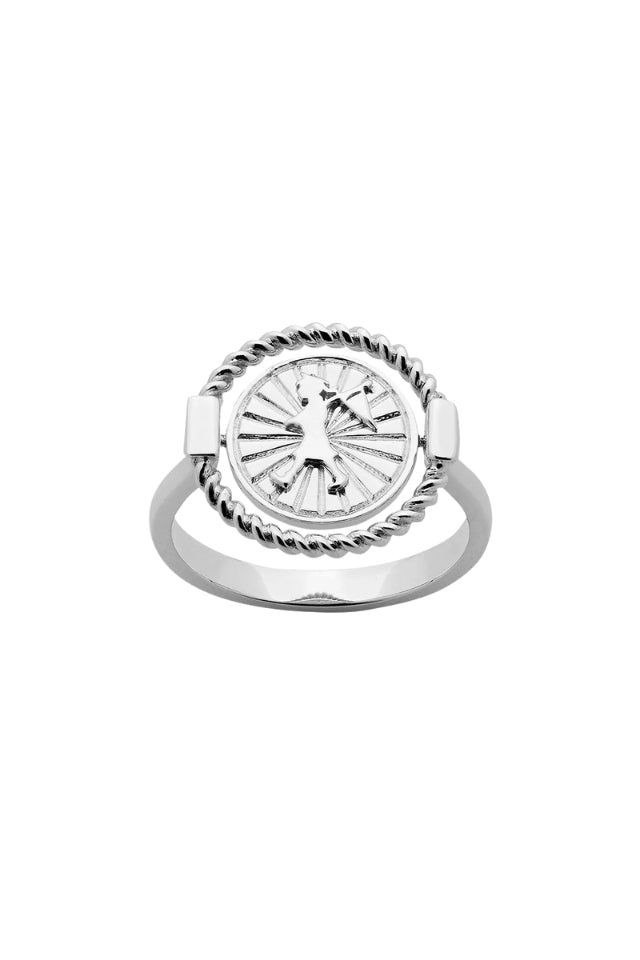 Voyager Spin Ring