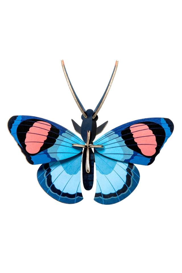 Wall Art Butterflies - Peacock Butterfly